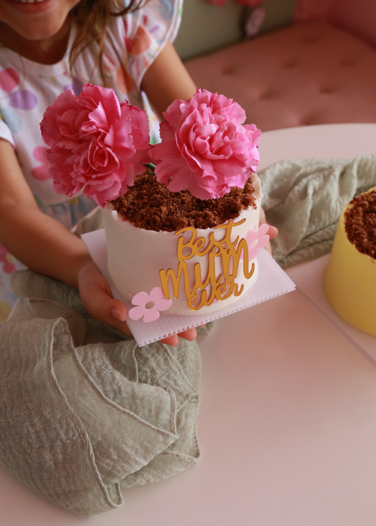 - Flower pot cake