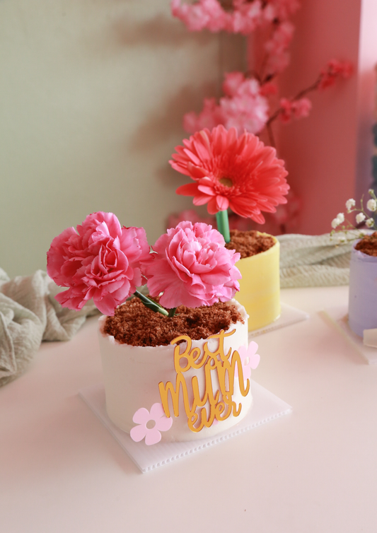 - Flower pot cake