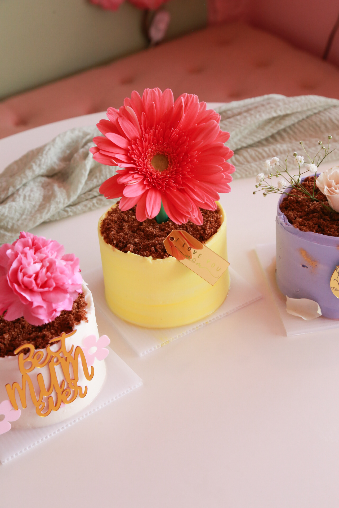 - Flower pot cake